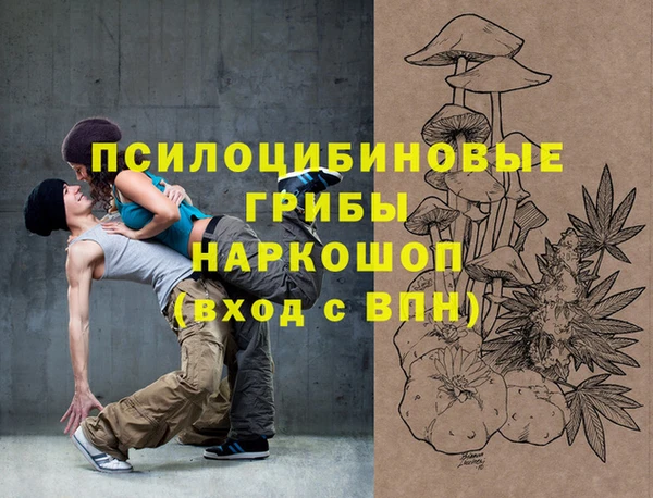 гидра Беломорск