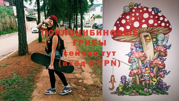 гидра Сатка